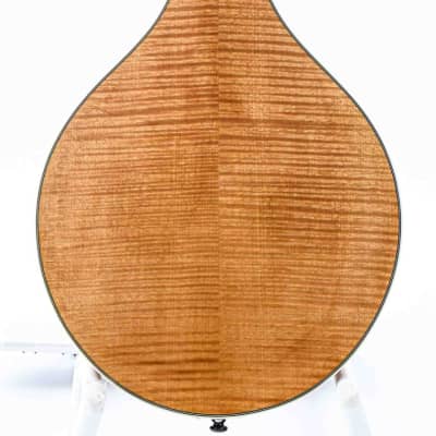 Bourgeois M5A Aged Tone Natural image 4
