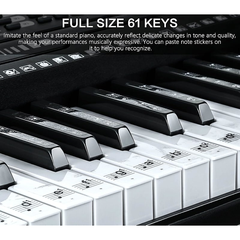 RockJam 88 Key Digital Piano Keyboard Piano with Full Size Semi-Weighted  Keys, Power Supply & Simply Piano Lessons & Casio ARST Single-X Adjustable