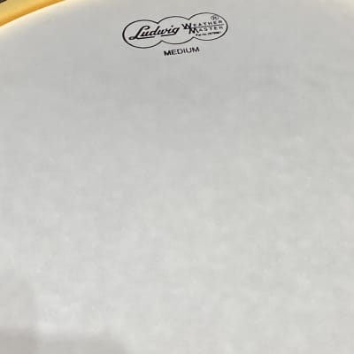 Ludwig - 14x7" Ludwig 100th Anniversary, Gold Triumphal Reissue, Snare Drum 2009 MINT!! image 10