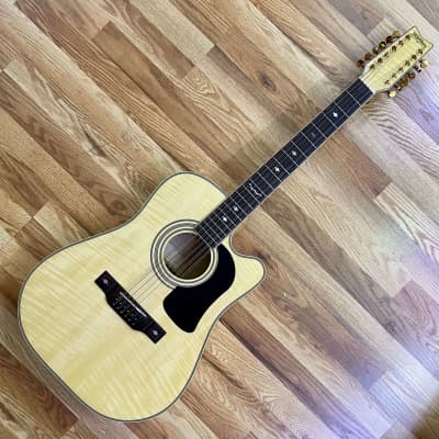 John Hiatt's Washburn Timber Ridge D1712CE 12-String Acoustic with XLR / The Guitar From The Ad for sale
