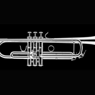 Schagerl Academica TR-420S Bb Trumpet in Silver Plate!