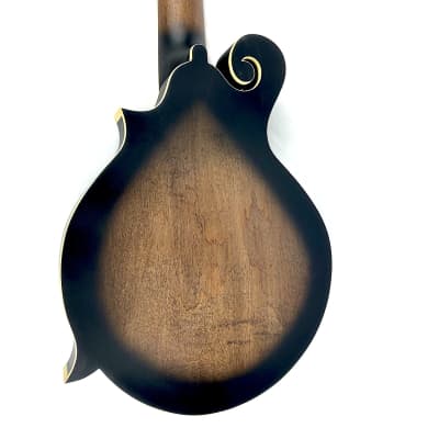 Gold Tone F12 F-Style 12-String Mando-Guitar 2021 Tobacco Sunburst Satin image 9