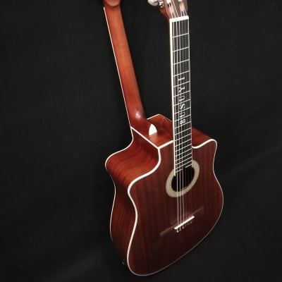 6 Strings Classical/ 6 Strings Acoustic Double Neck , Double Sided Busuyi Guitar 2020. image 2