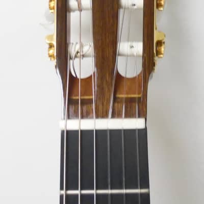R.J. DiCarlo Master Craft Custom SpanishClassical Guitar w/ Case image 3