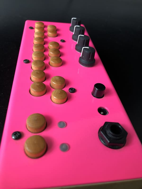 Critter & Guitari Bolsa Bass