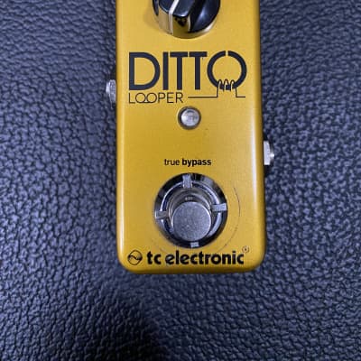 TC Electronic Ditto Looper (Gold Limited Edition) | Reverb