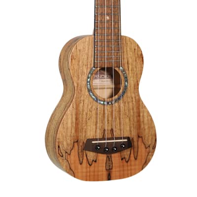 Islander Traditional soprano ukulele w/ spalted maple top image 2