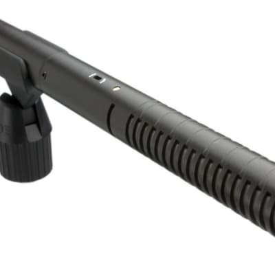 Rode NTG-2 Multi-Powered Shotgun Condenser Microphone image 3