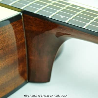 Fender DG-60 Acoustic Dreadnought Guitar Refurbished R-F7 image 8