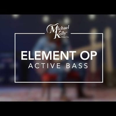 Michael Kelly Element 4OP Bass Guitar (Trans Red) image 2