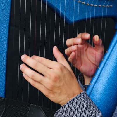 22 String Iris Harpy - Electric-Acoustic Harp - Blue image 11