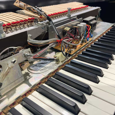 鍵盤楽器 Huang Jd Wurlitzer 206A 64-Key Electric Piano 1974 - 1983 - Beige