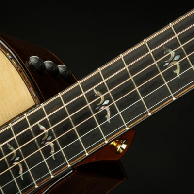 Taylor 914ce image 10