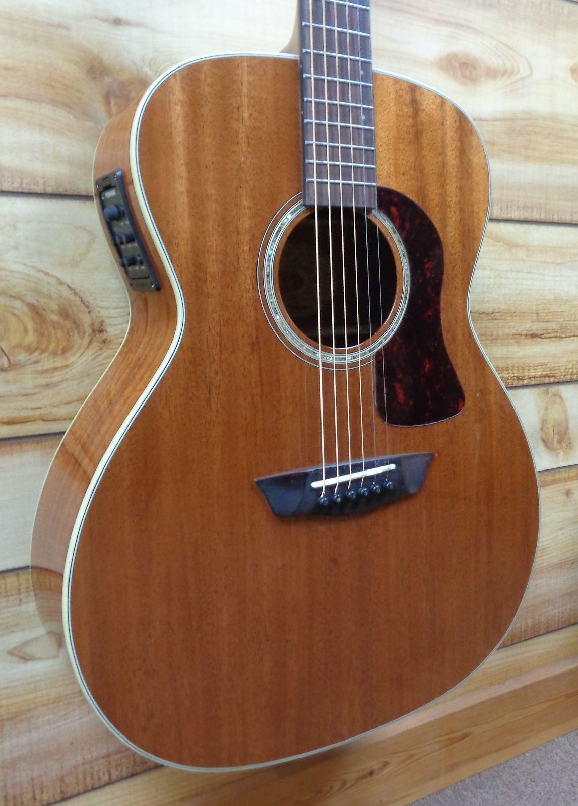 Washburn hg120swek sales