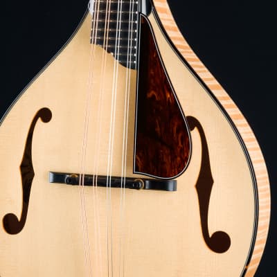 Collings MT2 Blonde Italian Spruce and Flamed Maple Mandolin with Pickguard NEW image 8
