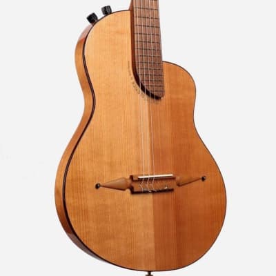 Rick Turner Renaissance RN6 Nylon String Cedar / Mahogany | Reverb