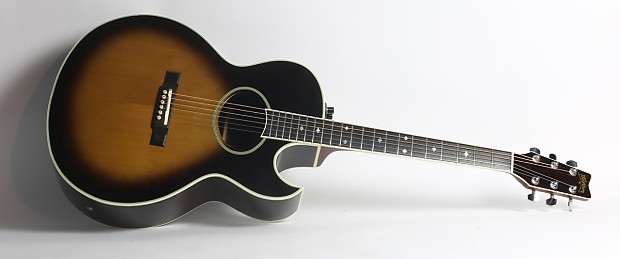 Washburn tanglewood deals