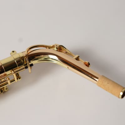 [In Stock]_Freeshipping! Yanagisawa Alto saxophone A WO-2 [AWO2]Bronze Brass Body image 13