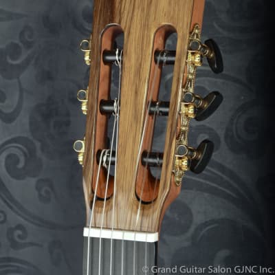 Raimundo Tatyana Ryzhkova Signature model, Spruce top classical guitar image 8