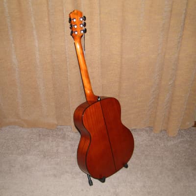 Washburn F5 Apprentice Series Folk Acoustic Guitar - Cracked Neck image 5