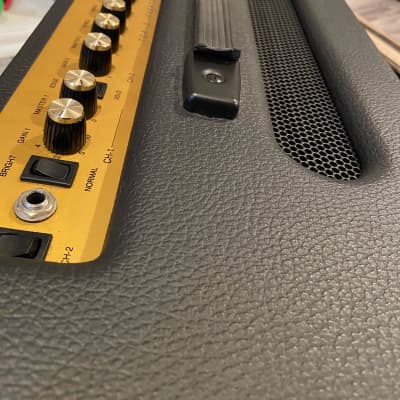 Demeter TGA 2.1 2- 10' Combo Guitar Amplifier 2010s black image 2