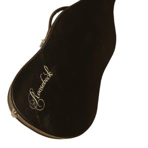 Roosebeck 38 x 13.25" Voboam Guitar Hard Case RHCVB image 1