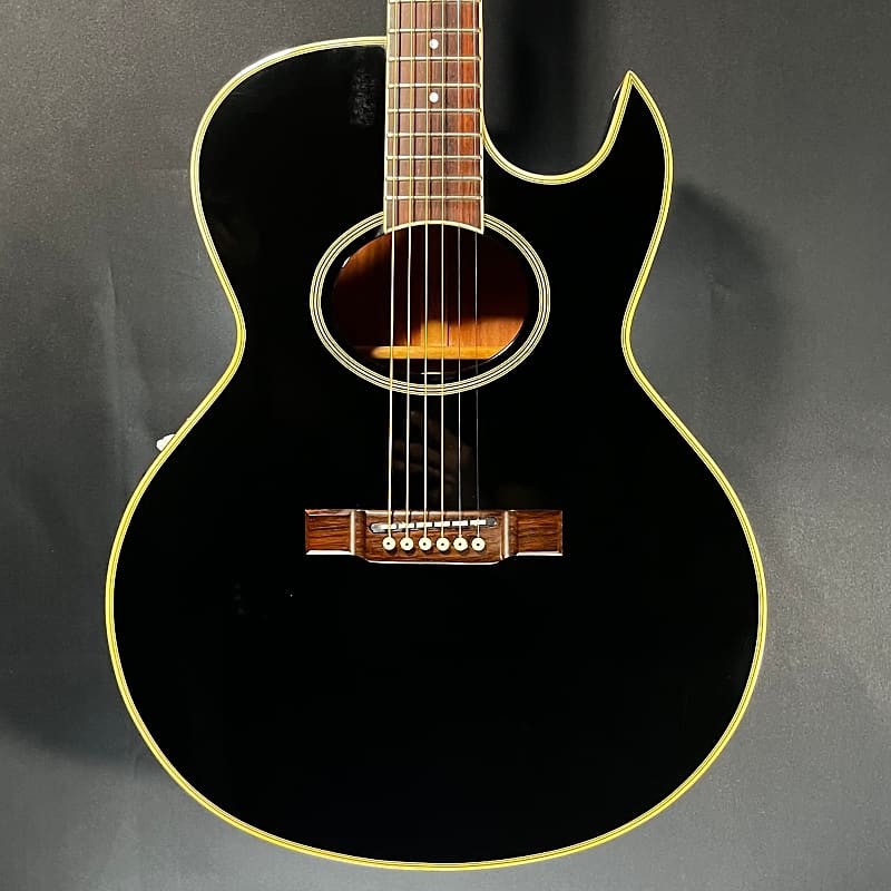 1◇ Washburn ワッシュバーン ギター ケース付き◇中古◇S