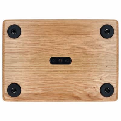 AER Compact-60/4-ONT | 60W Acoustic Amp w/ 8" Speaker, Natural Oak. New with Full Warranty! image 19