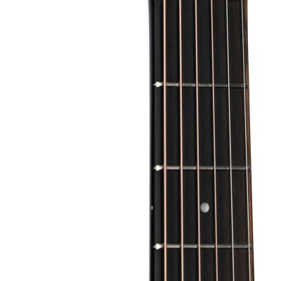 Taylor 214ce Plus Grand Auditorium Rosewood Acoustic-Electric Guitar (with Soft Case), Black image 5