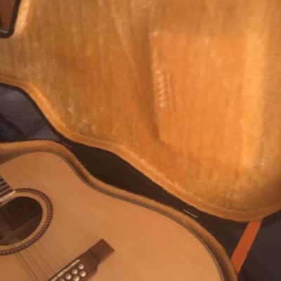 Washburn Heritage Seires D10S/ 12-String Acoustic/Dreadnought Guitar Natural image 6
