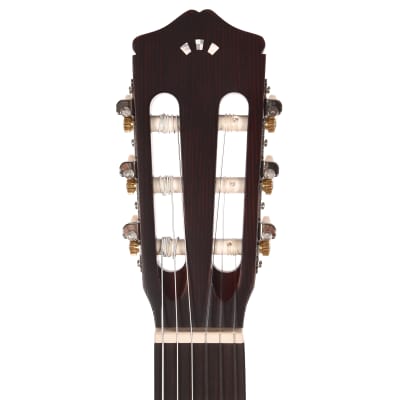 Cordoba Protege Series CP100 Guitar Pack image 6