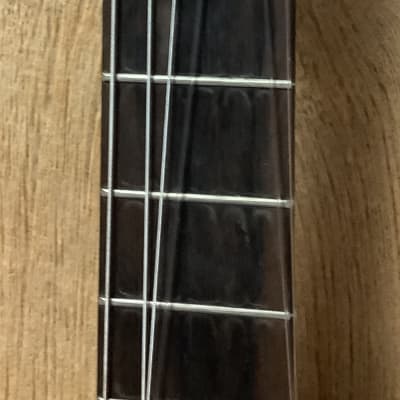 Classical Guitar image 11