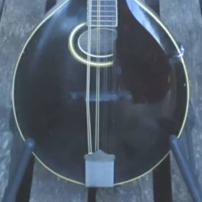 Gibson A4 Mandolin, Black, 1911 image 14
