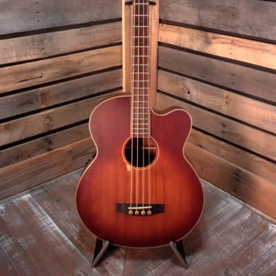 Morgan Monroe MVAB500C Acoustic/Electric Bass with Hardshell Case image 3