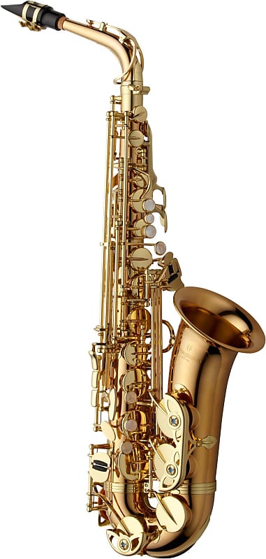 Yanagisawa AWO2 Professional Alto Saxophone - Bronze | Reverb