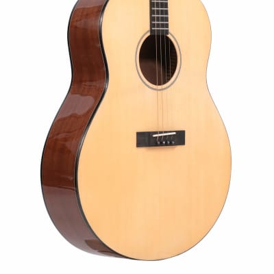 Gold Tone TG-10 Mahogany Neck 4-String Acoustic Tenor Guitar with Gig Bag image 4