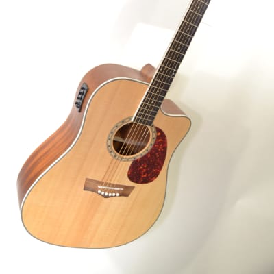 Peavey Delta Woods DW2-CE Acoustic-Electric Guitar Natural - Pro Setup for sale