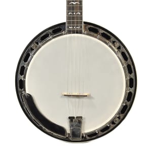 Recording King RK-R35 Madison 5-String Resonator Banjo | Reverb