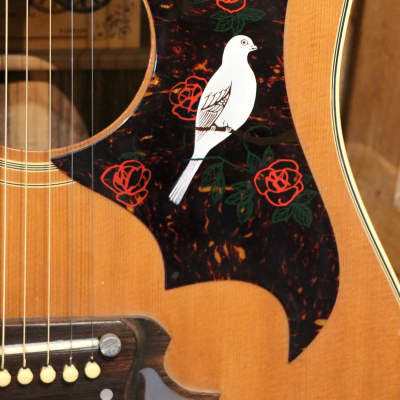 'Lawsuit' Dove Antoria/Ibanez 693 (Gibson Dove Replica) Early 70's for sale