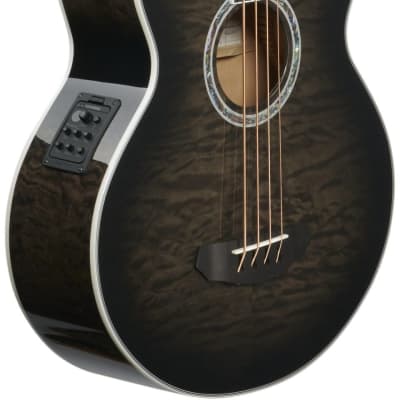 Michael Kelly Dragonfly 4 Acoustic-Electric Bass Guitar, Pau Ferro Fingerboard, Smoke Burst image 8