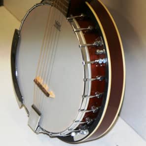 Trinity River 6 String Banjo image 8