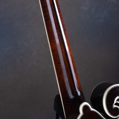 Bourgeois M5-F-BT Black Top Aged F-style mandolin Brand New image 12