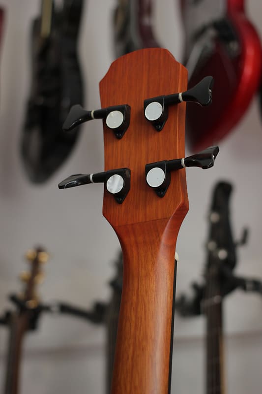 Aria FEB-F2 Acoustic Fretless Bass; Beautiful figured wood