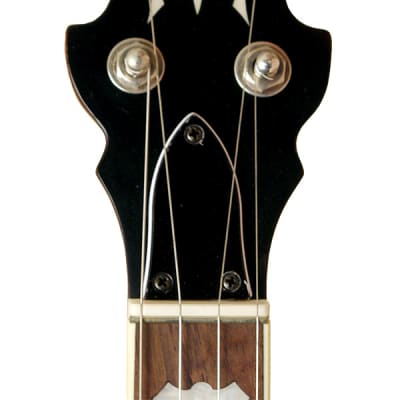 GOLD TONE OB-150 Orange Blossom 5-string Banjo - Vintage Brown NEW w/ HARD CASE image 4