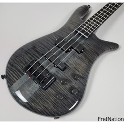 Spector EURO4LT Black Stain Gloss Blackout Limited Edition 4