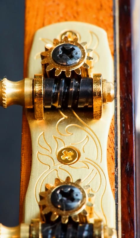 VIDEO: CAVATINA, Montanza Classical Guitar Cedar and Indian