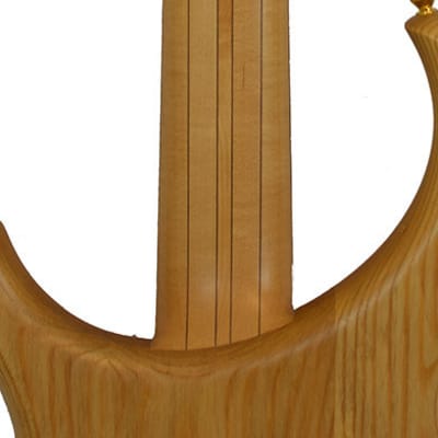Alembic Excel 5 Quilted Maple - SHOWROOM image 8