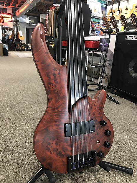 Cort Greg Curbow 5 Fretless Bass | Reverb