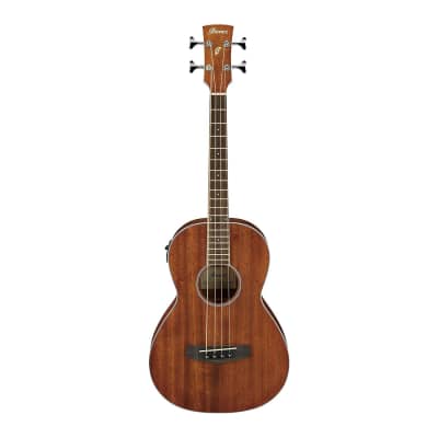 Ibanez PNB14E 4-String Acoustic/Electric Bass Guitar (Open Pore Natural) for sale
