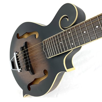 Gold Tone F6 F-Style Mando-Guitar w/ pickup image 6